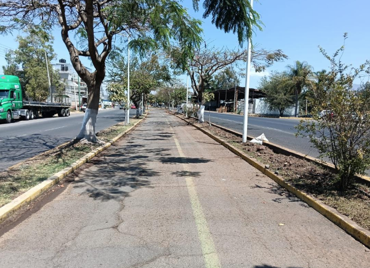 Rehabilitan parque lineal del Acceso Norte