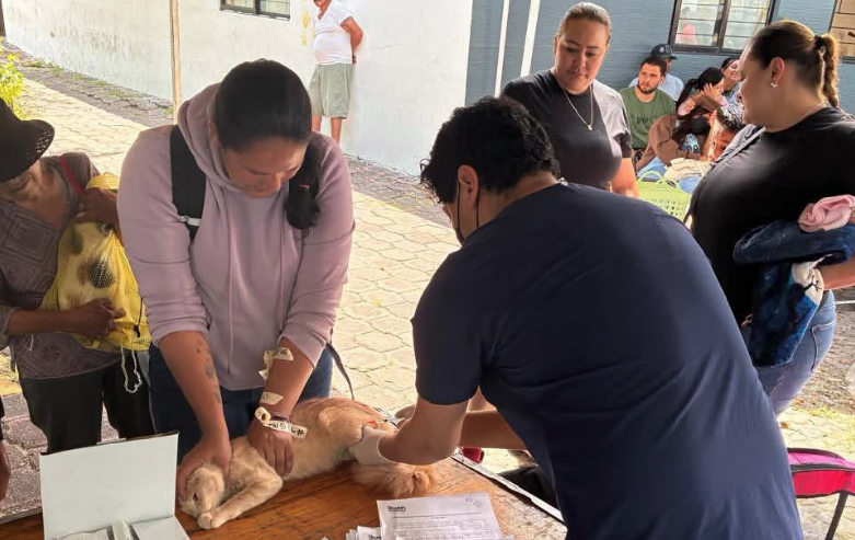 Esterilizan a 500 animales de compañía durante jornada del Gobierno de Zamora