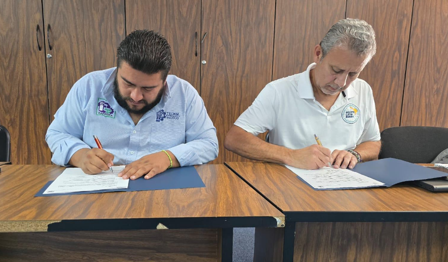 Encabeza el Tecnológico de Zamora proyecto de innovación para evaluación genética de fresas, arándanos, frambuesas y zarzamoras