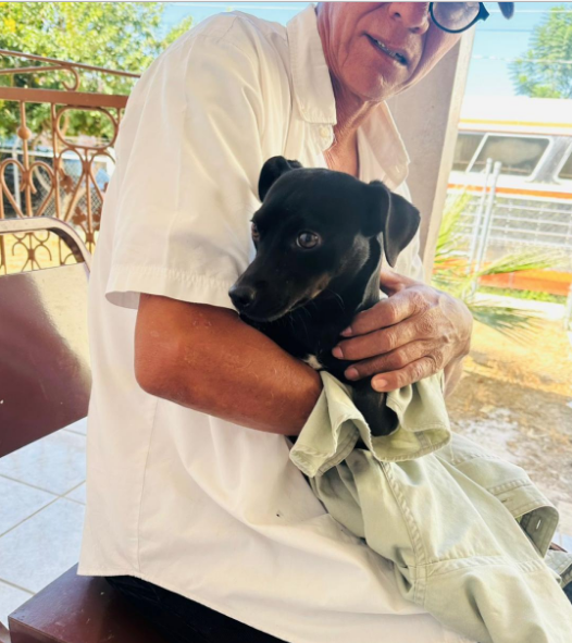 Zamora promueve el cuidado y bienestar animal con jornada de esterilización gratuita en Chaparaco