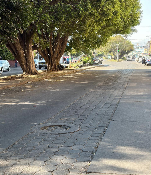 Retirán vehículos del camellón central de la avenida del Árbol