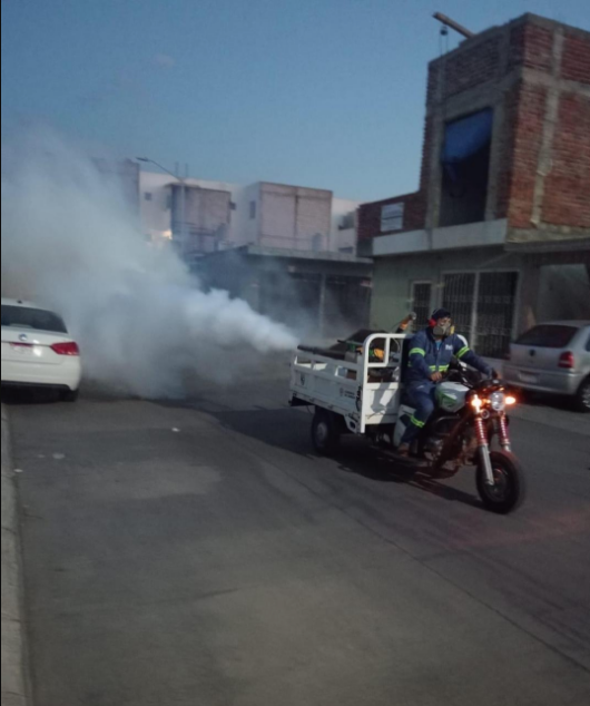 Permanentes las acciones preventivas contra el dengue